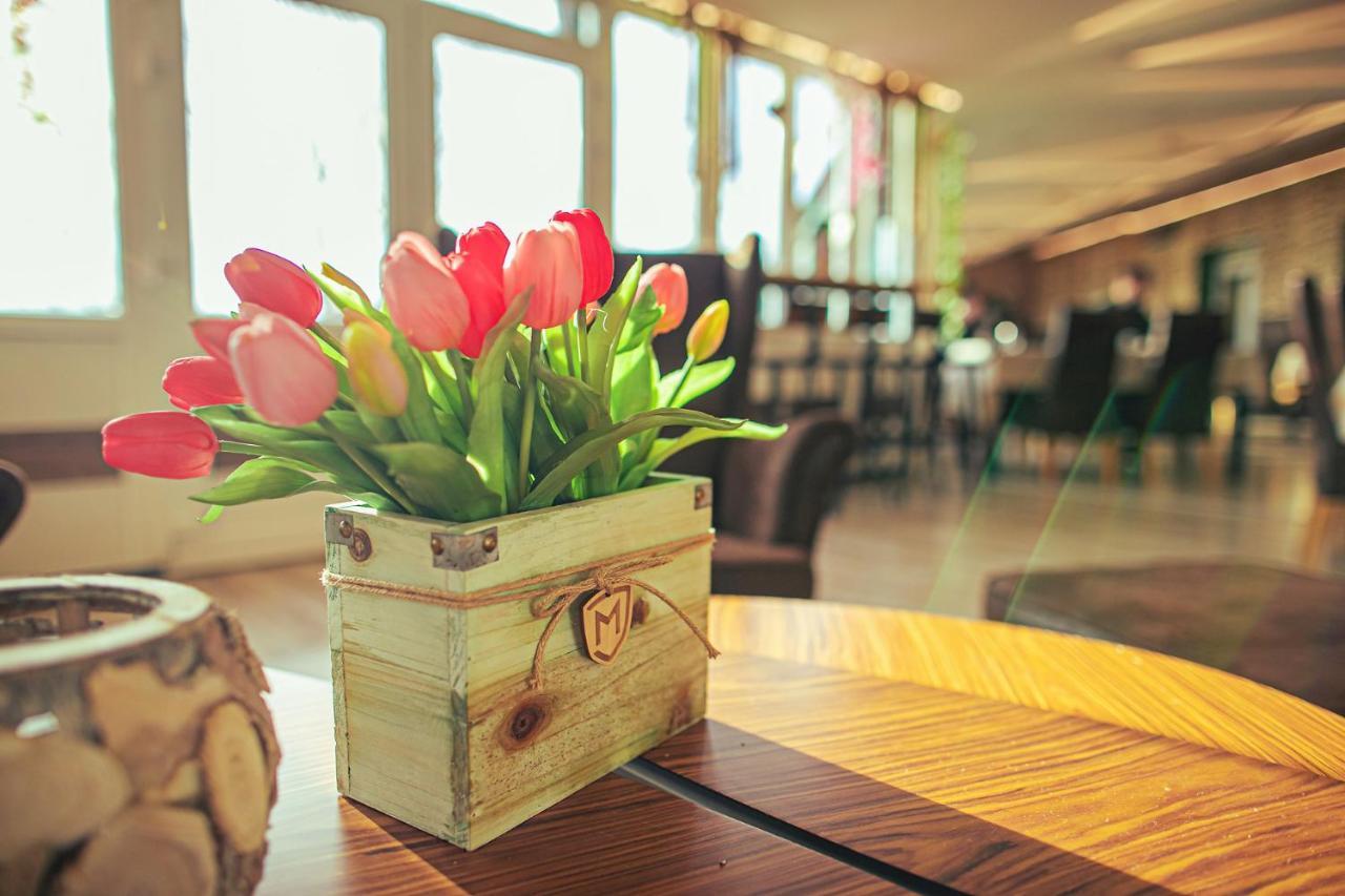 Martoni Resort & Restaurant Szigetszentmarton ภายนอก รูปภาพ
